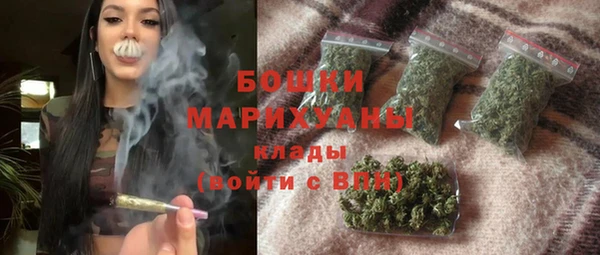 МДПВ Гусев