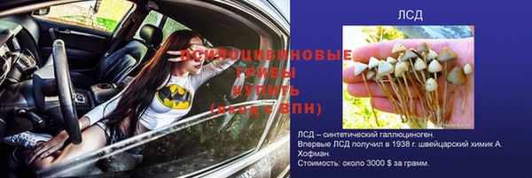 МДПВ Гусев