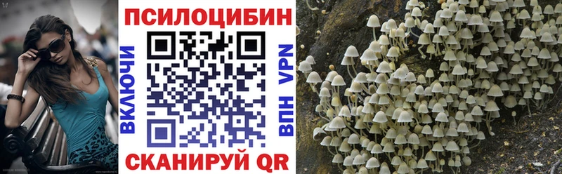 Псилоцибиновые грибы MAGIC MUSHROOMS  Плавск 